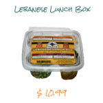 lebanese_lunch_box